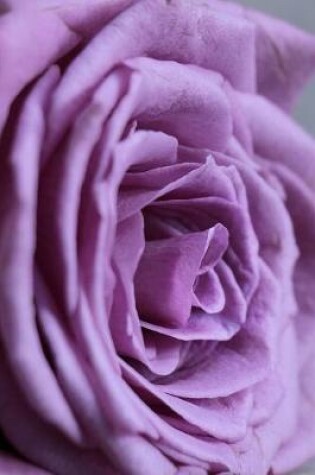 Cover of Purple Floribunda Rose Journal