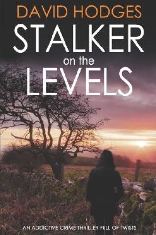 Cover of STALKER ON THE LEVELS an addictive crime thriller full of twists