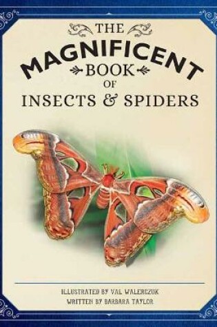 Cover of The Magnificent Book of Insects and Spiders