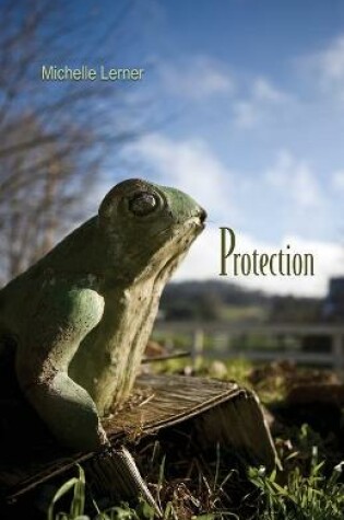 Cover of Protection