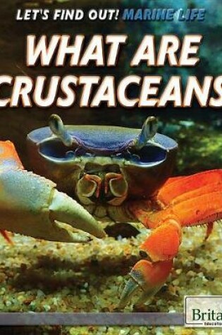 Cover of What Are Crustaceans?