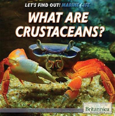 Book cover for What Are Crustaceans?