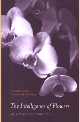 Book cover for The Intelligence of Flowers