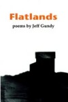 Book cover for Flatlands