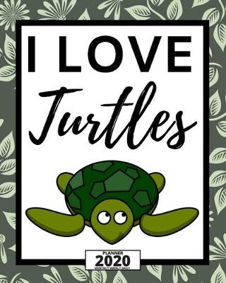 Book cover for I Love Turtles