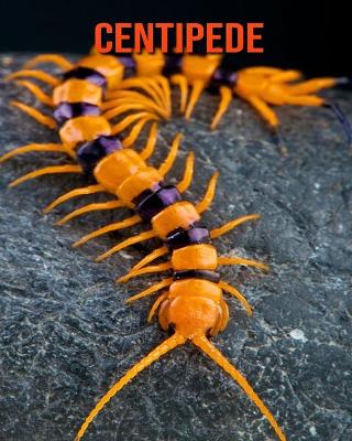 Book cover for Centipede