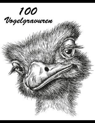Book cover for 100 Vogelgravuren
