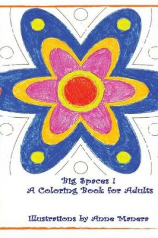 Cover of BIG SPACES ! A Coloring Book for Adults