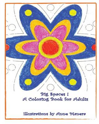 Cover of BIG SPACES ! A Coloring Book for Adults