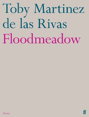 Book cover for Floodmeadow