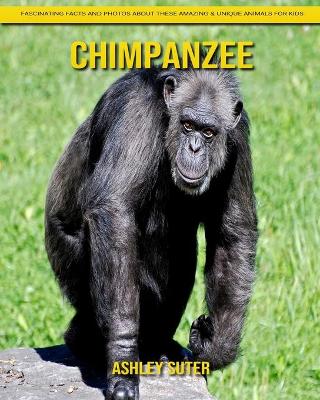 Book cover for Chimpanzee