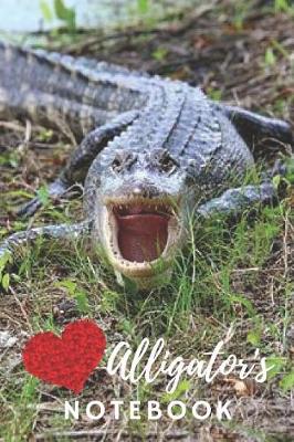 Book cover for Alligator Notebook