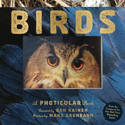 Book cover for Birds