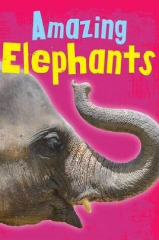 Cover of Amazing Elephants