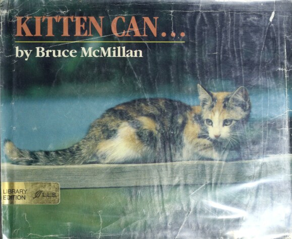 Cover of Kitten Can--