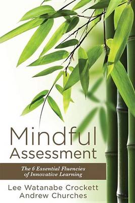 Book cover for Mindful Assessment