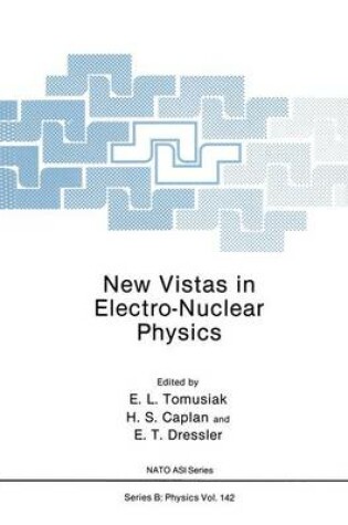 Cover of New Vistas in Electro-Nuclear Physics