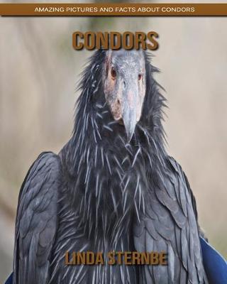 Book cover for Condors