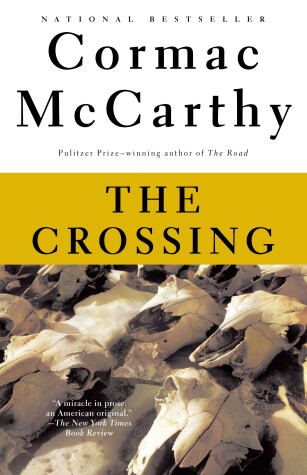 Book cover for The Crossing