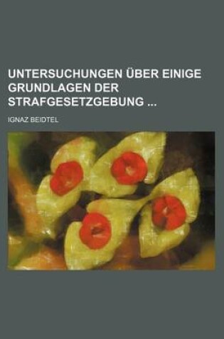 Cover of Untersuchungen Uber Einige Grundlagen Der Strafgesetzgebung