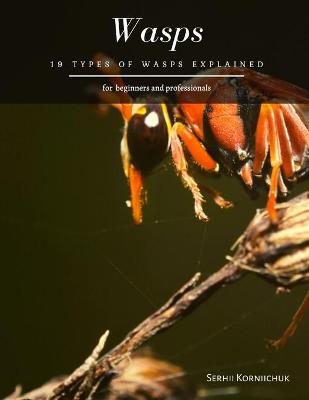 Book cover for Wasps