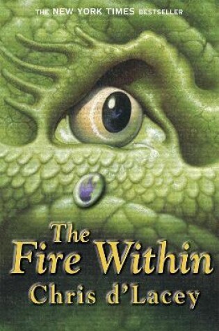 Cover of The Fire Within