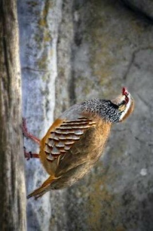 Cover of A Partridge Bird on a Rock Journal