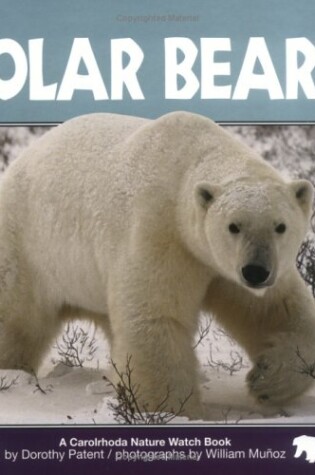 Cover of Polar Bears