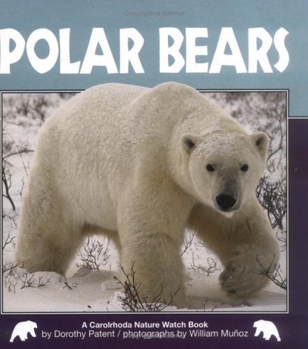 Book cover for Polar Bears