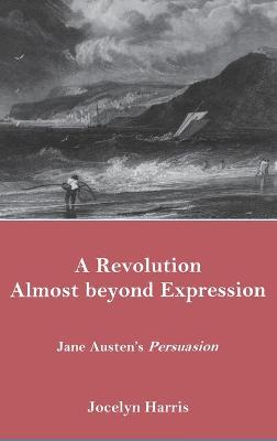 Book cover for A Revolution Almost Beyond Expression