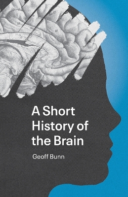 Book cover for A Short History of the Brain