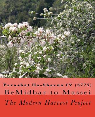 Book cover for Parashat Ha-Shavua IV (5775)