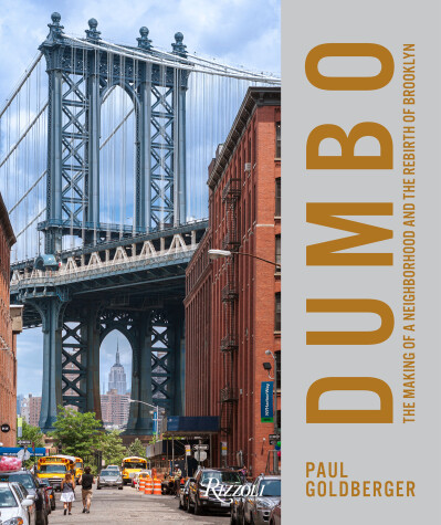 Book cover for DUMBO