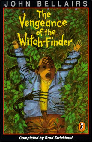 Book cover for Vengeance of the Witch-Finder