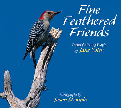 Book cover for Fine Feathered Friends