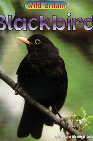 Cover of Wild Britain: Blackbird Big Book