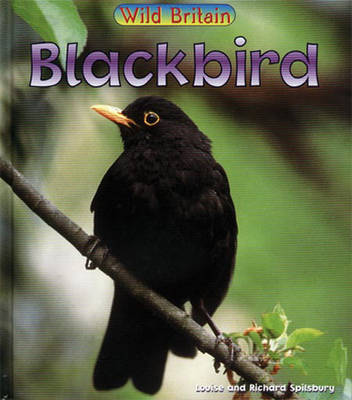 Book cover for Wild Britain: Blackbird Big Book