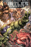 Book cover for Teenage Mutant Ninja Turtles Universe, Vol. 5: The Coming Doom