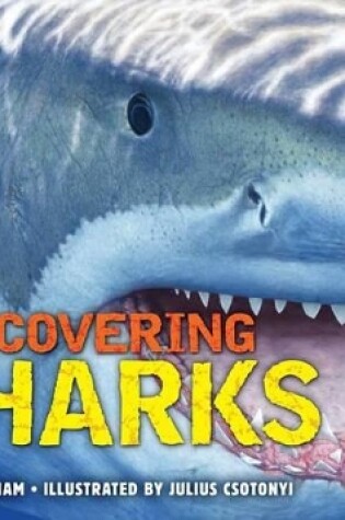 Cover of Discovering Sharks