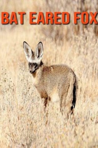 Cover of Bat Eared Fox