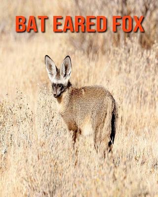 Book cover for Bat Eared Fox