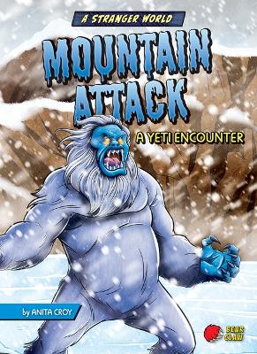 Cover of Mountain Attack