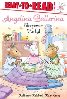 Book cover for Sleepover Party!