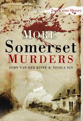 Book cover for More Somerset Murders
