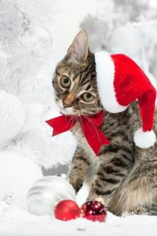 Cover of A Cute Cat Dressed Up for Christmas