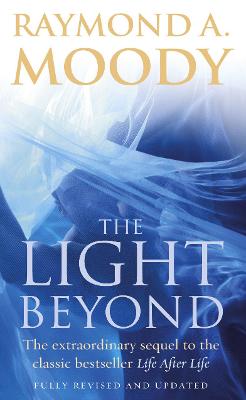 Book cover for The Light Beyond