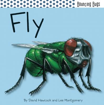 Cover of Fly