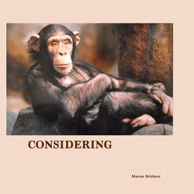 Book cover for Considering