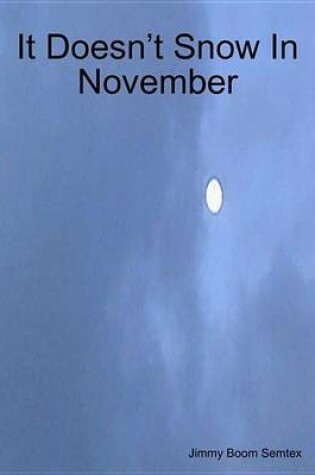 Cover of It Doesn't Snow in November