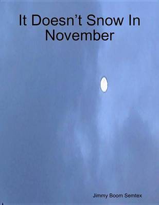 Book cover for It Doesn't Snow in November